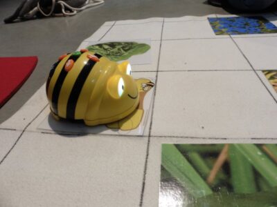 Programmieren lernen mit den Bee-Bots