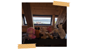 View from the Attic